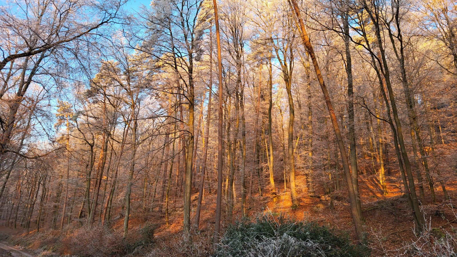 WhatsApp Image 2025-01-01 à 08.37.46_d608cb40